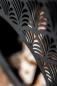 Preview: Gartenofen | ANKARA